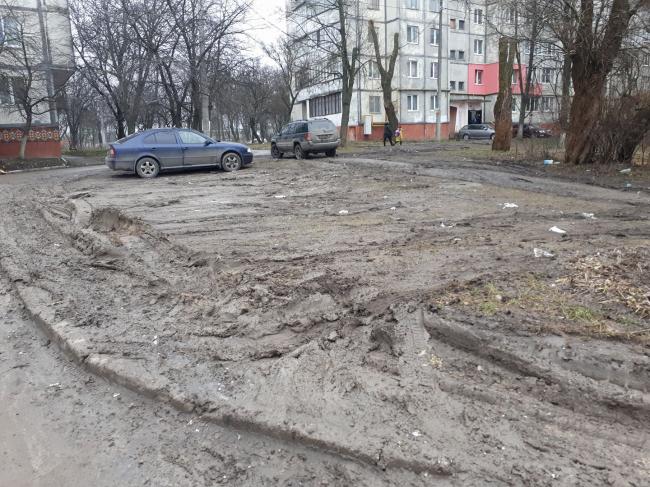 Знищені газони: депутат з Рівного пропонує кишені для паркування авто