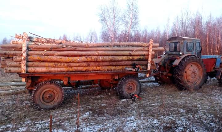 Будні селян на півночі Рівненщини: рубають ліс та видобувають бурштин
